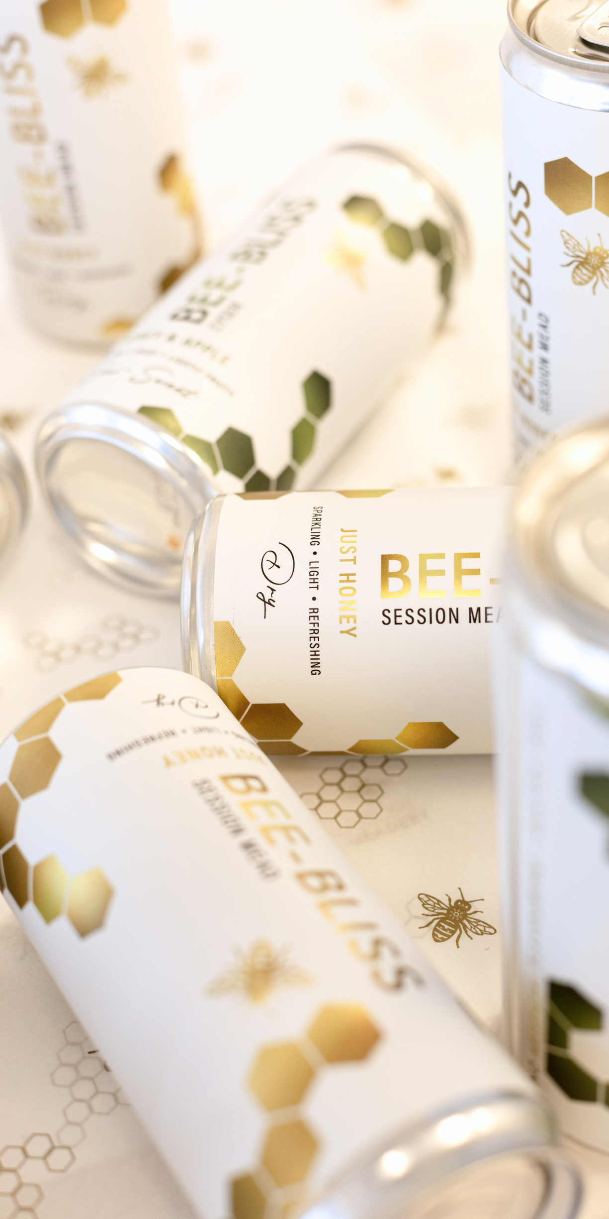 Bee-Bliss Dry Session Mead (300ml 4 Pack) - Image 4